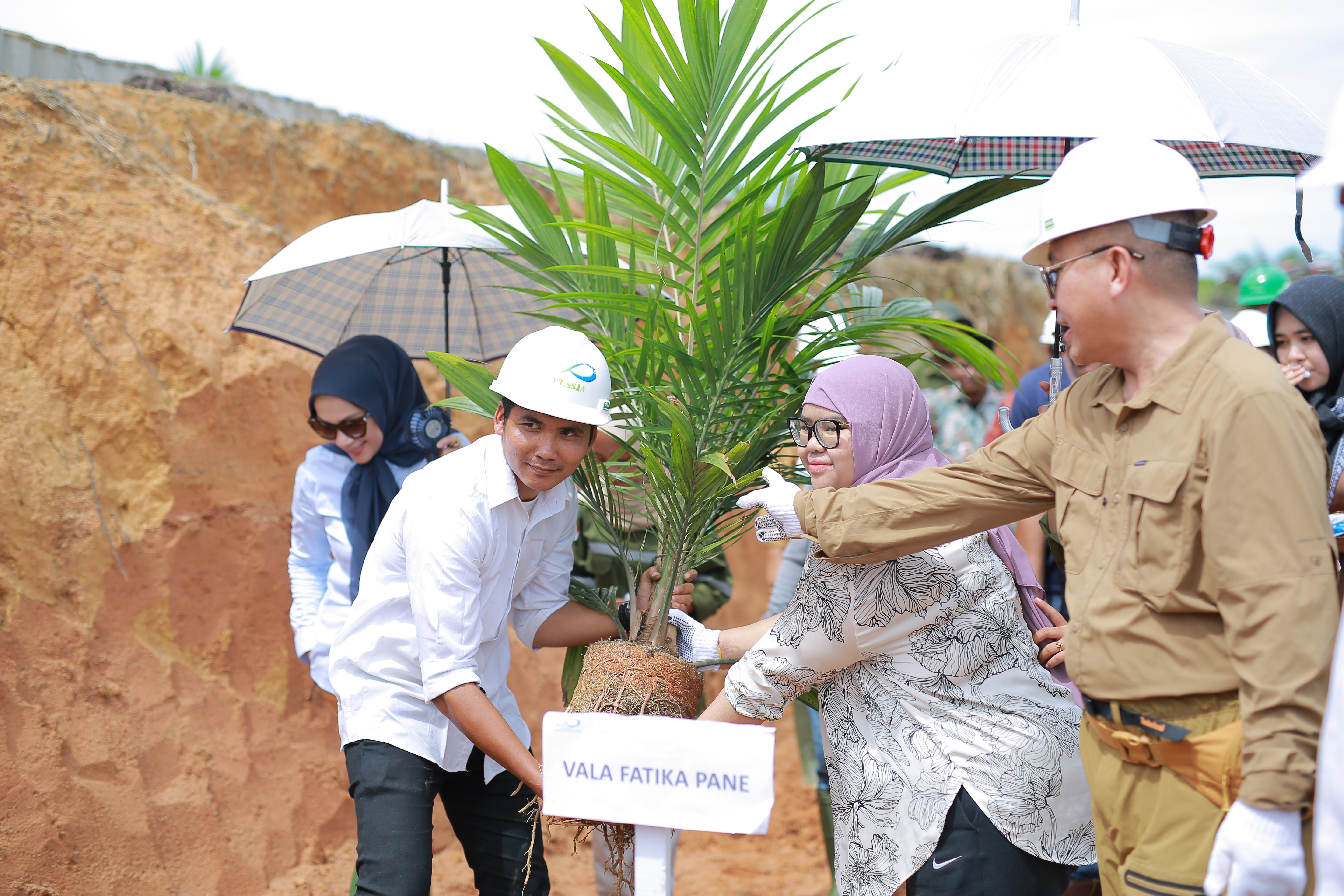 First Planting by Shareholder